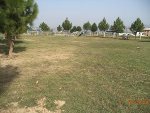 DSC03011